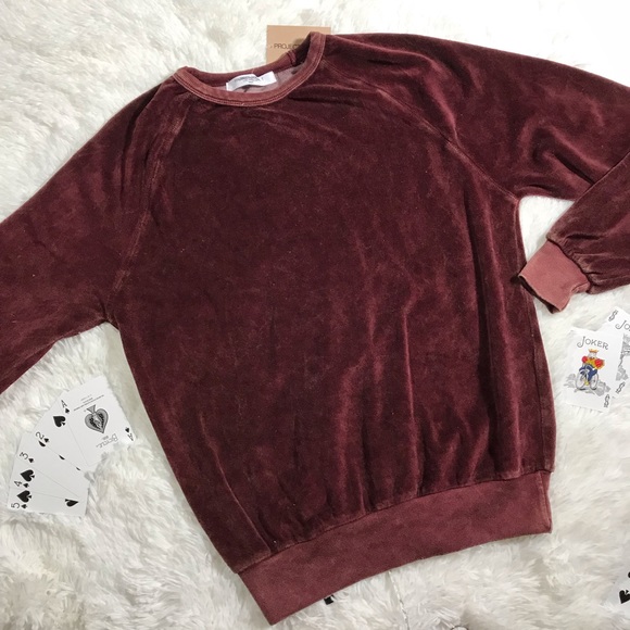 Urban Outfitters Sweaters - PROJECT SOCIAL T Merci Velour Sweatshirt S